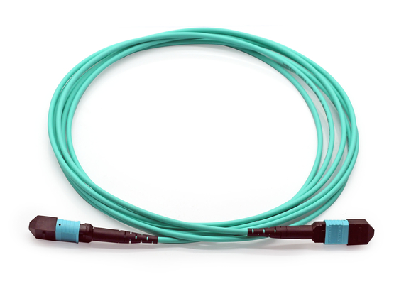 comprar Multimodo OM4 Fibra Patch Cables LSZH MPO Trunk Cable 3m 5m Personalizado online manufacture